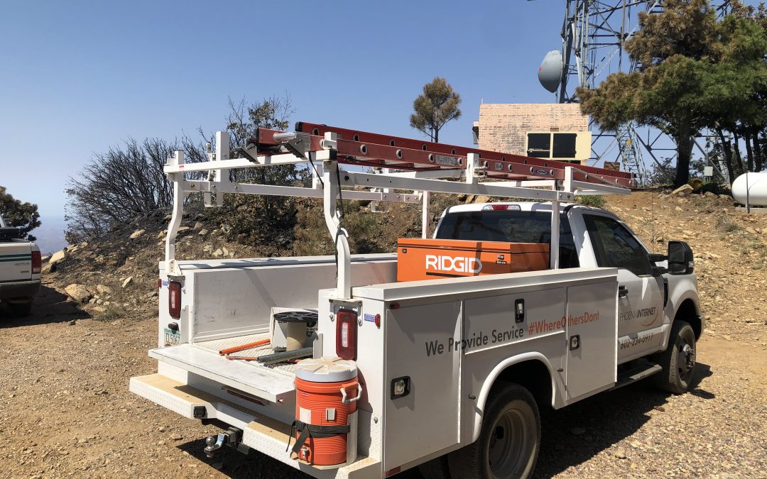 From The Ashes: Phoenix Internet Responds to the Arizona #BushFire 2020