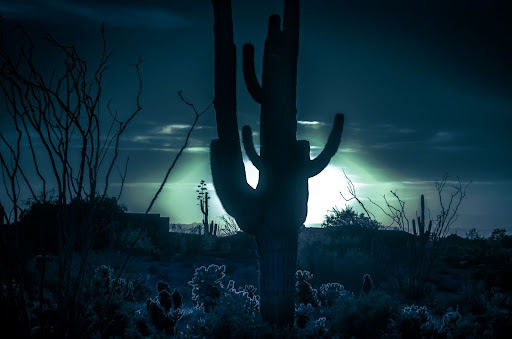 Arizona’s Spookiest Places to Visit in 2022