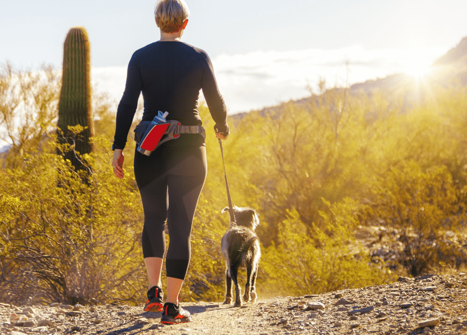 May Day Hikes: Scenic Trails and Nature Walks in Rural Phoenix